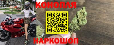 МДПВ Пугачёв