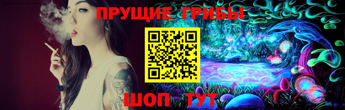 Галлюциногенные грибы MAGIC MUSHROOMS Отрадный