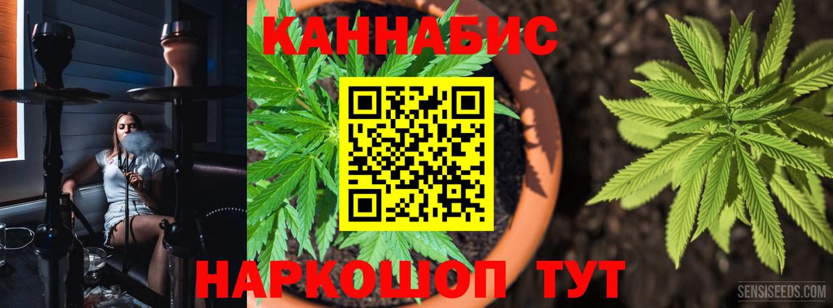 Отрадный  Конопля тримм  Вход с VPN  Бошки марихуана Bruce Banner 